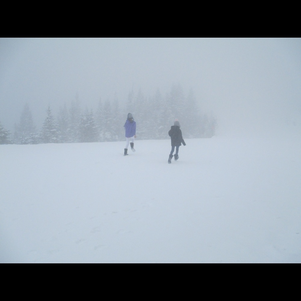 Meet your Posher, ClosetVictories